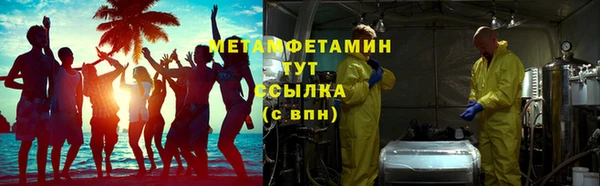 сатива Володарск