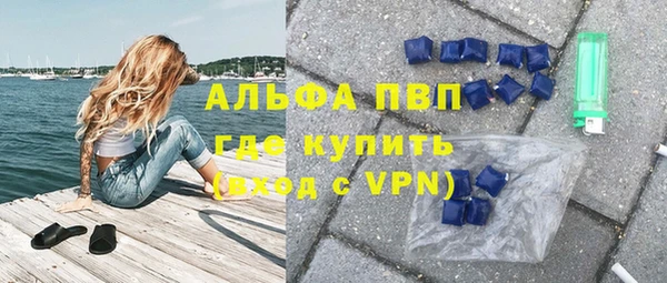 сатива Володарск